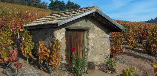Former vineyard hut